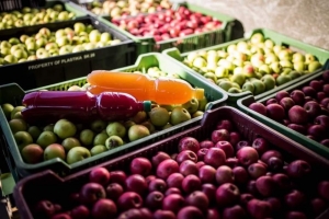 Příběh biofarmy a moštárny Nětčice