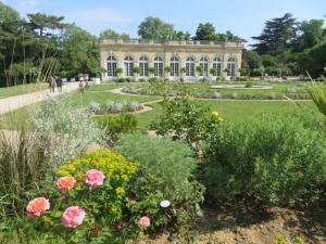 Obrázky z Paříže