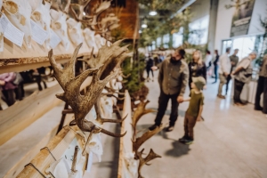 Myslivost a příroda