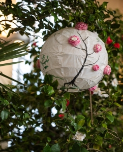 KAMÉLIE & KŘEHKÁ KRÁSA NA CESTÁCH