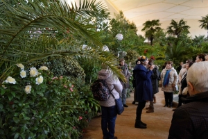 Komentované prohlídky výstavy Kamélie & křehká krása na cestách