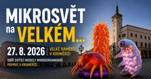 Mikrosvět na Velkém...
