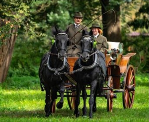 Mezinárodní soutěž tradičních zápřeží 