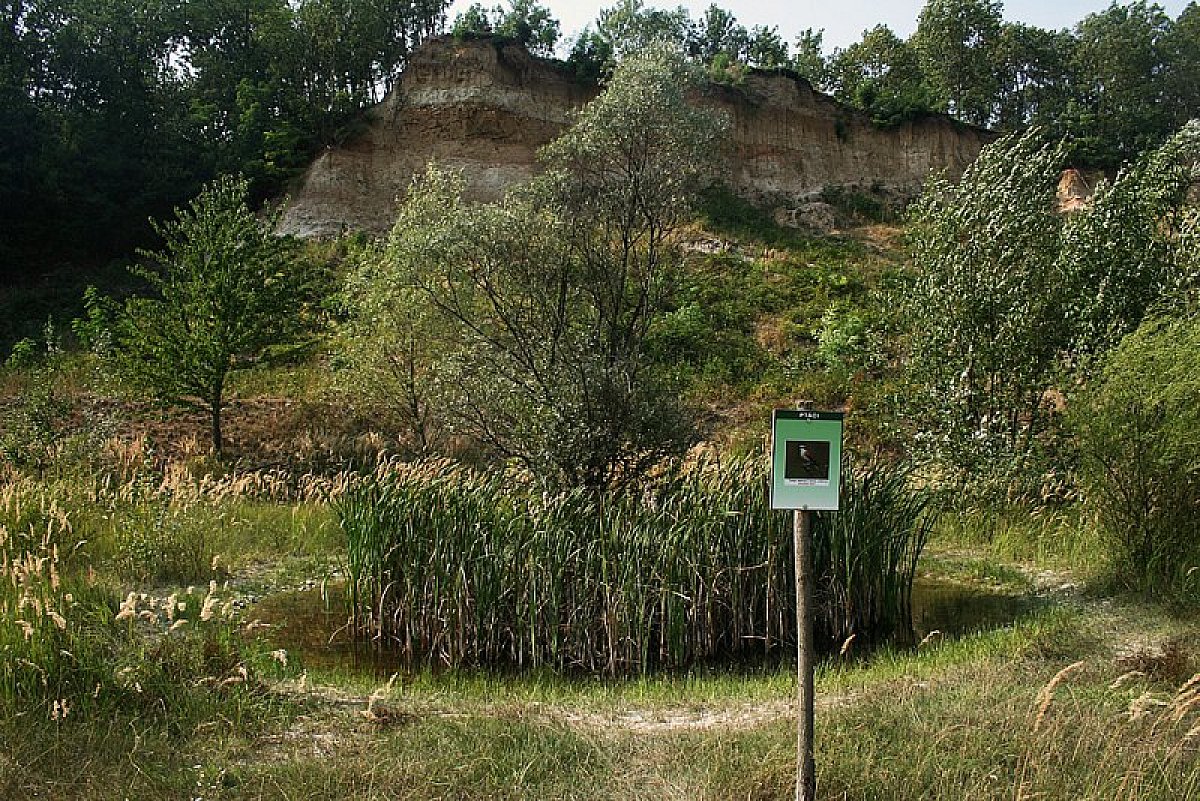 Les alentours abritent des coins de nature sauvage avec une faune et une flore protégées