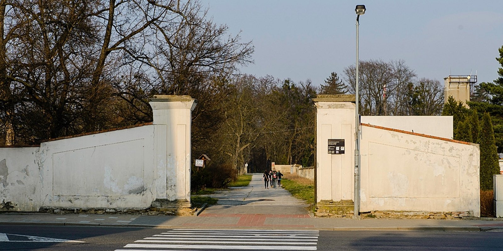 Pionýrská louka
