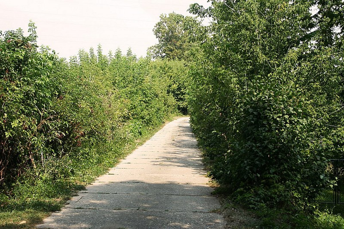 Environ un kilomètre de montée. On y est presque :)