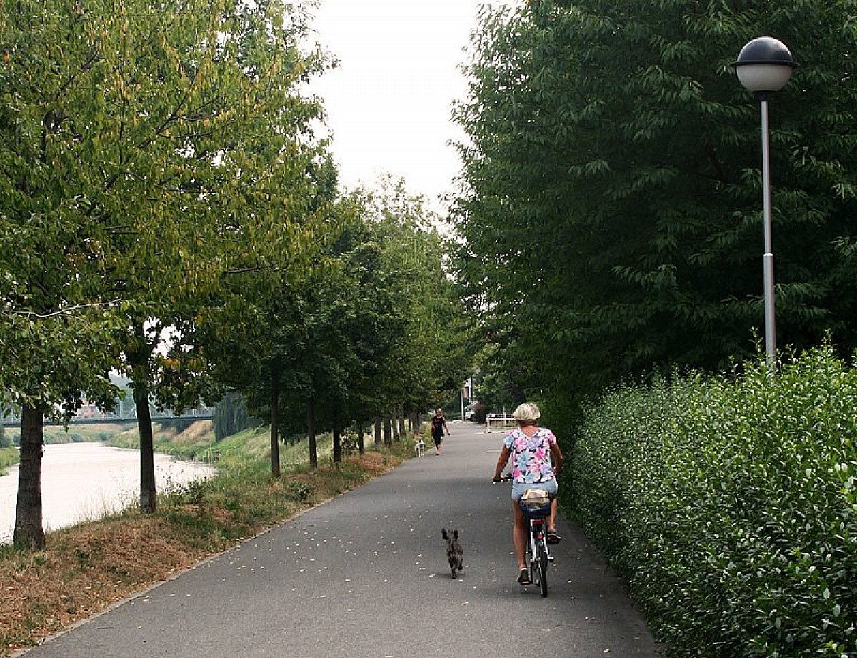 Piste cyclable le long de la Morava à Kroměříž