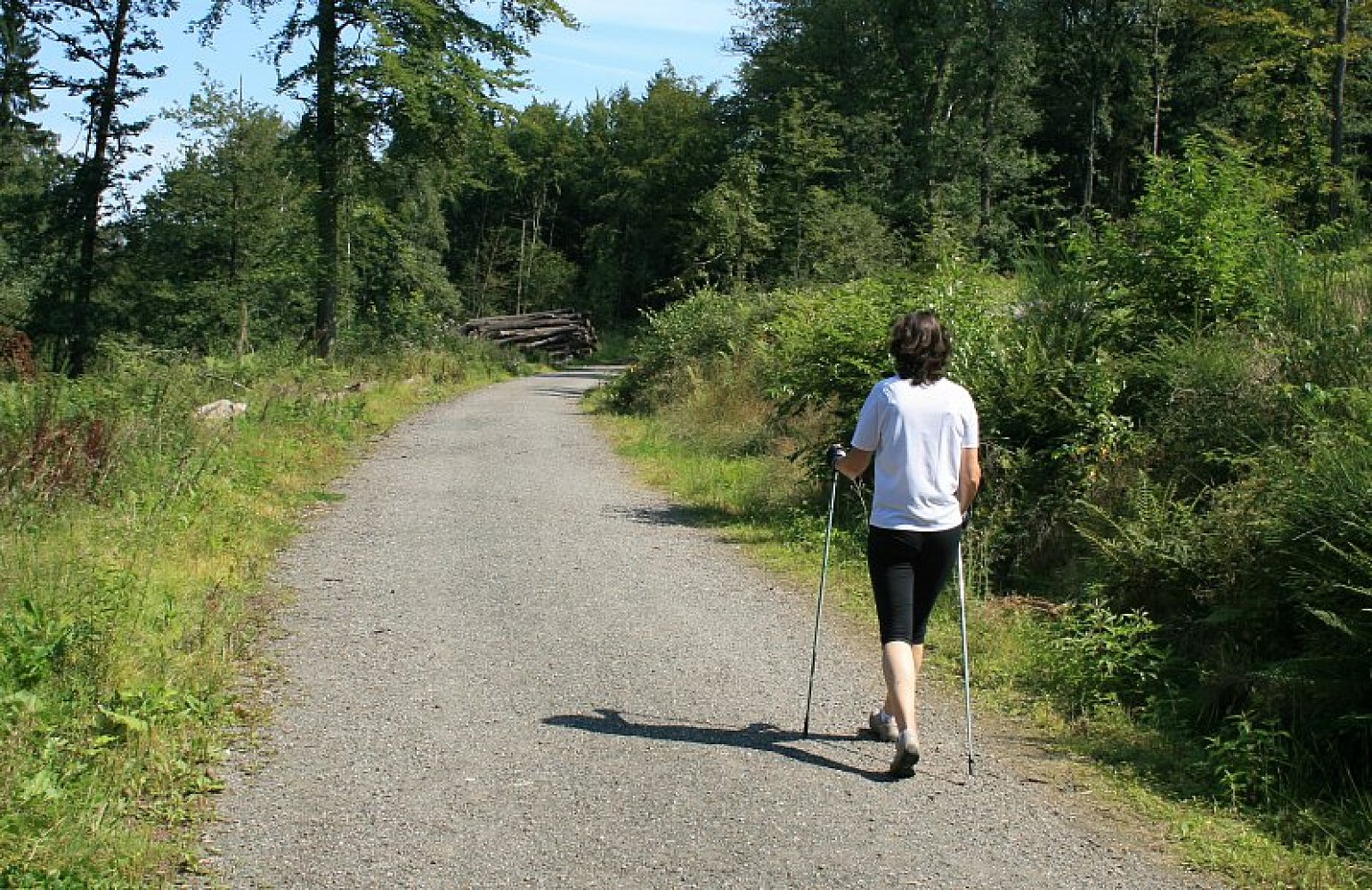 Nordic walking trasy v Kroměříži