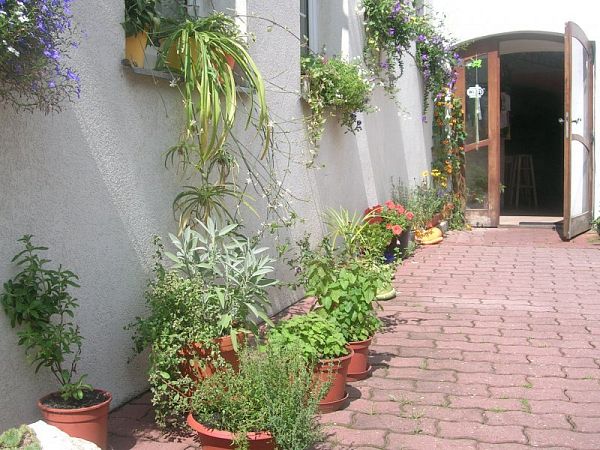 Foto 1