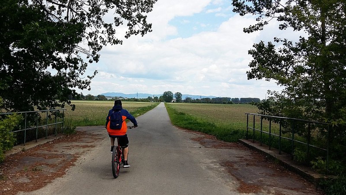 Pohodový úsek cyklostezky z Bílan do Hulína